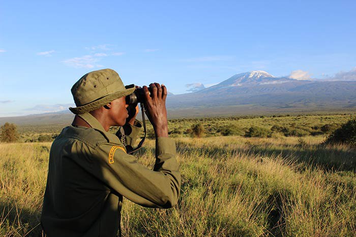 Ranger with binoculars