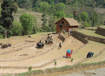 Biodiversity Understanding in Infrastructure and Landscape Development (BUILD)