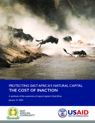 Protecting Natural Capital in East Africa: The Cost of Inaction