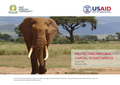 Protecting Natural Capital in East Africa: Action Plan