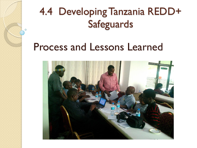 Developing Tanzania REDD+ Safeguards