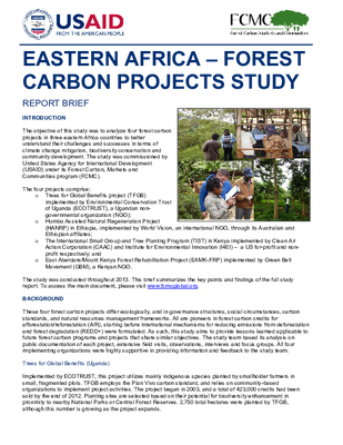 Report Brief: Eastern Africa - Forest Carbon Projects Study