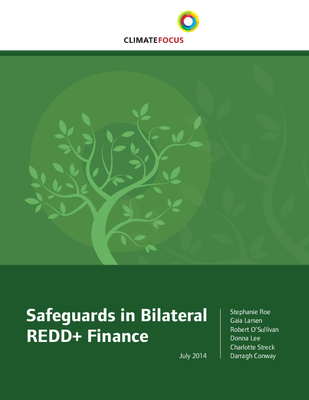 Safeguards in Bilateral REDD+ Finance
