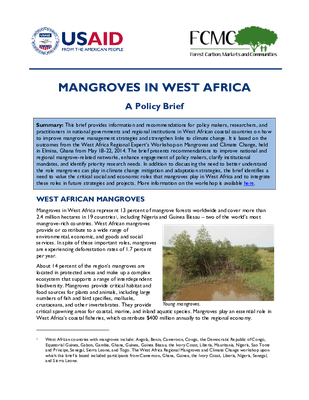 Mangroves in West Africa: A Policy Brief