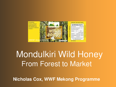 Mondulkiri Wild Honey: From Forest to Market