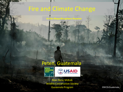 Fire and Climate Change In the Maya Biosphere Reserve
