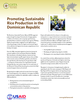 Promoting Sustainable Rice Production in the Dominican Republic