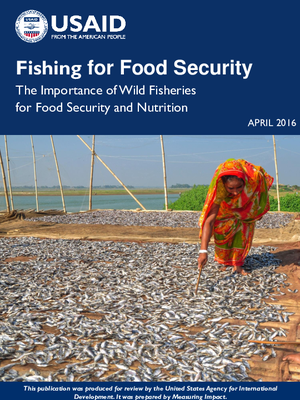 Fishing for Food Security: The Importance of Wild Fisheries for Food Security and Nutrition