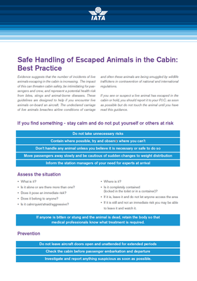 Best Practices: Handling Escaped Animals by Cabin Crew