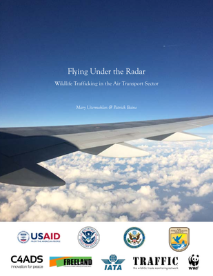 Flying Under the Radar Full Report