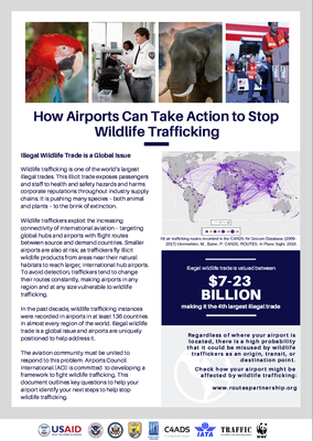 How Airports Can Take Action