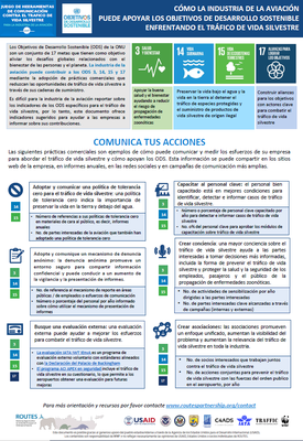 UN Sustainable Development Goals - Spanish