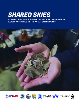 Shared Skies - Full Report