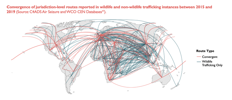 Convergence of jurisdiction-level routes reported in wildlife and non-wildlife trafficking instances between 2015 and 2019 © C4ADS.png