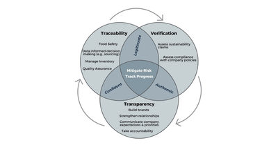 Demystifying Seafood Verification: Q&A with Traceability Experts