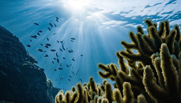 Chuuk Lagoon, Weno, Federated States of Micronesia