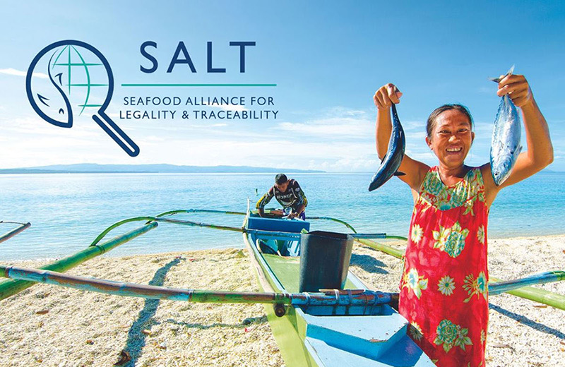 SALT cover image with logo