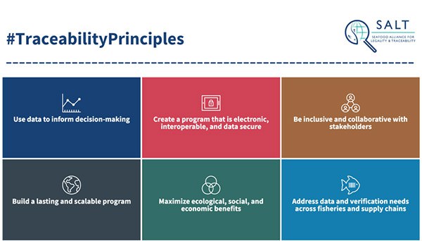 salt-traceability-principles.jpg