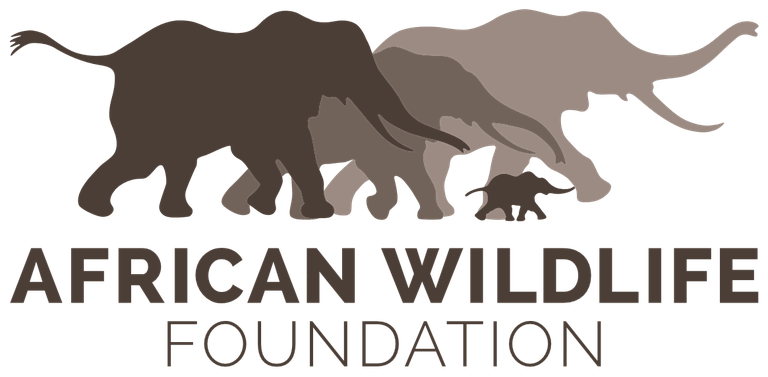 AWF logo