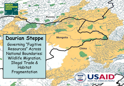 SCAPES: Daurian Steppe Governing “Fugitive Resources” Across National Boundaries