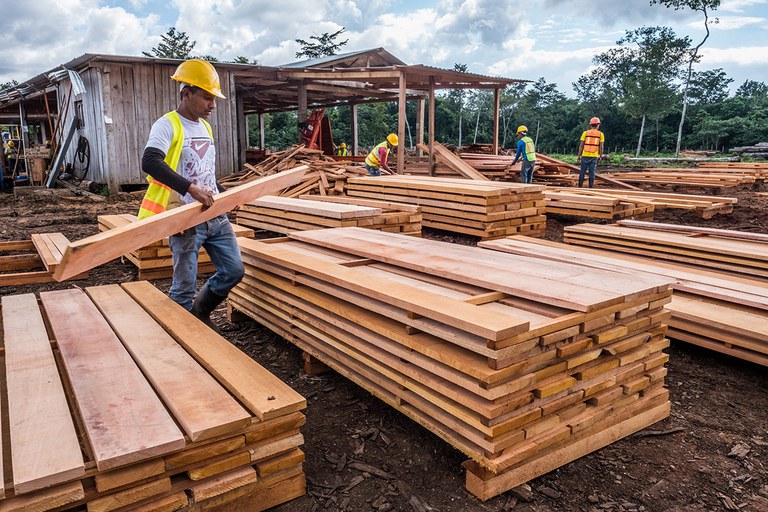 Asociación Forestal Integral Cruce la Colorada sawmill in Carmelita Guatemala