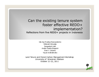 Can the existing tenure system foster effective REDD+ implementation? Reflections from five REDD+ projects in Indonesia