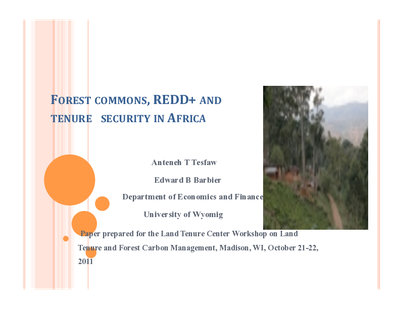 Forest commons, REDD+ and Tenure Security in Africa