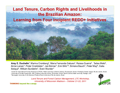 Land Tenure, Carbon Rights and Livelihoods in the Brazilian Amazon:  Learning from Four Incipient REDD+ Initiatives       
