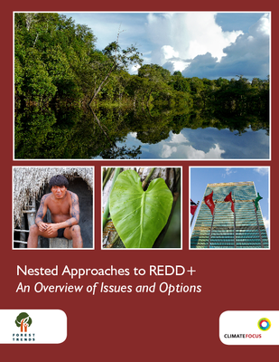 Final Document: Nested Approaches to REDD+