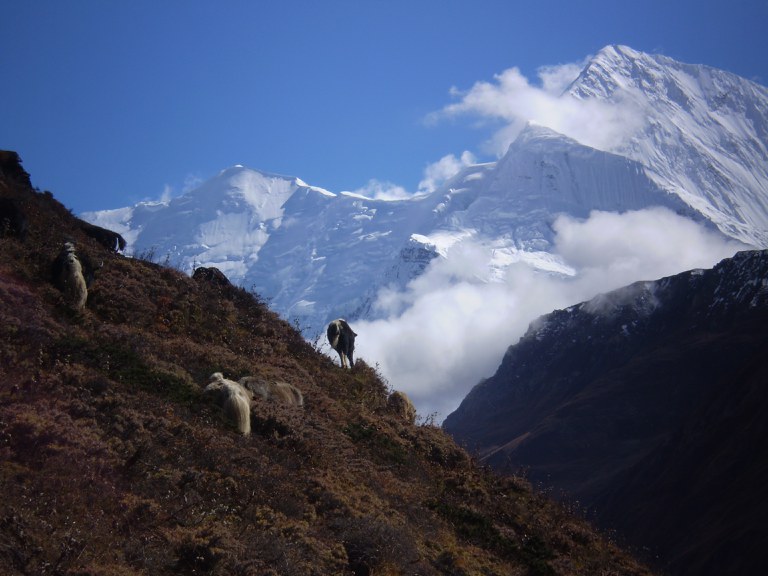 Nepal, Himalayan Biotrade.