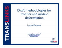 Draft methodologies for frontier and mosaic deforestation