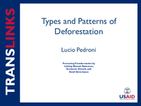 Types and Patterns of Deforestation