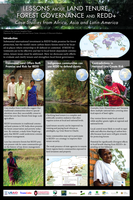 POSTER: Lessons About Land Tenure, Forest Governance And Redd+: Case Studies from Africa, Asia and Latin America