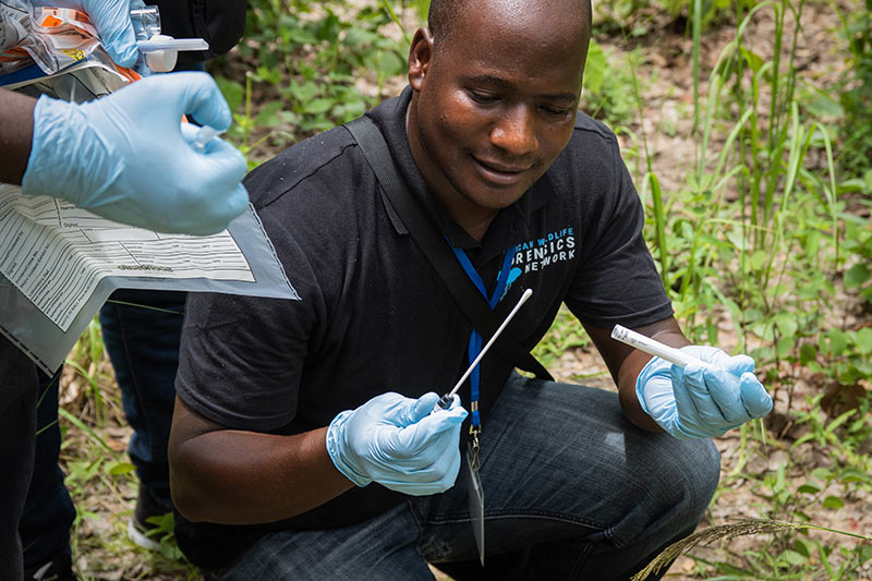 TRACE Wildlife Forensics Network demonstrates swab control during forensics training. Photo credit: VukaNow Description: The threat to our wildlife posed by illegal killing and trade is well known, with the rise in poaching over the past ten years presenting serious challenges to conservationists and law enforcement officers. The use of wildlife forensics is growing rapidly throughout the world to support wildlife law enforcement, and this forms part of VukaNow’s strategic approach.