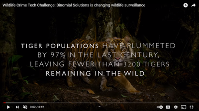 Binomial Solutions is changing wildlife surveillance