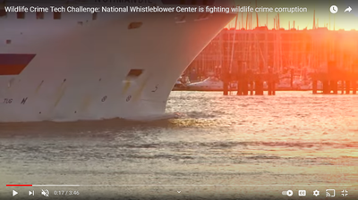 National Whistleblower Center is fighting wildlife crime corruption