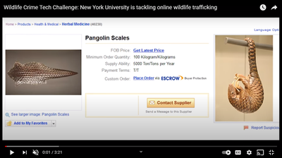 New York University is tackling online wildlife trafficking