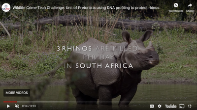 Uni. of Pretoria is using DNA profiling to protect rhinos
