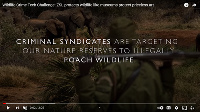 ZSL protects wildlife like museums protect priceless art