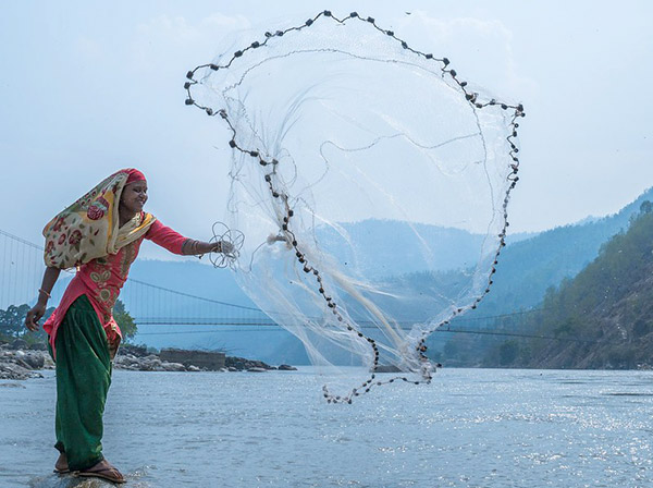 A local fisher woman from the indigenous ethnic Tharu community casts her net on the Rapti River, Dang, Nepal. Fisherfolks were key beneficiaries of the USAID PANI Program (2016-2021). PANI helped form, organize, strengthen capacity, and mobilize community aquatic animal conservation groups that comprised multiple users of the river system including fisherfolks to conserve and co-manage river stretches in collaboration with their local governments. Fishing is a main source of livelihood for the Tharu community that live along the rivers in the southern plains of Nepal.  Location: Rapti River Basin, Nepal Photographer: Sudin Bajracharya