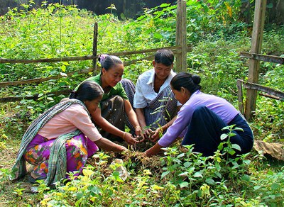 Advancing Gender in the Environment (AGENT)