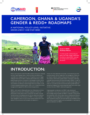 Cameroon, Ghana & Uganda’s Gender & REDD+ Roadmaps: A National, Policy-Level Initiative