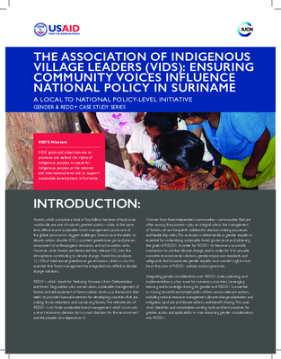 The Association of Indigenous Village Leaders (VIDS): Ensuring Community Voices Influence National Policy in Suriname: A local to national policy-level initiative