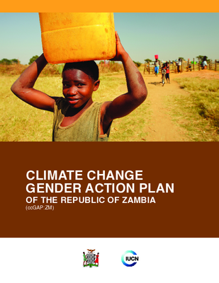 Zambia Climate Change Gender Action Plan (ccGAP:ZM) Report