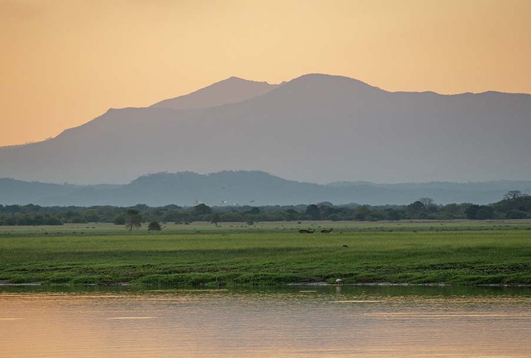 gorongosa-park.jpg