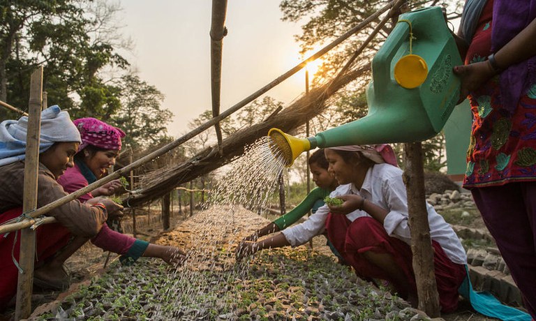 Farmers in Nepal tend to crops