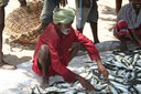 Pakistan fisherman