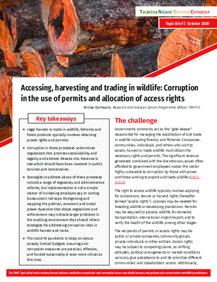 Accessing, harvesting and trading in wildlife: Corruption in the use of permits and allocation of access rights