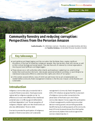 Community Forestry and Reducing Corruption: Perspectives From the Peruvian Amazon