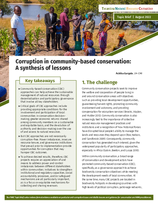 Corruption in Community-Based Conservation: A Synthesis of Lessons